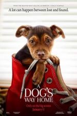 Watch A Dog's Way Home Zmovie