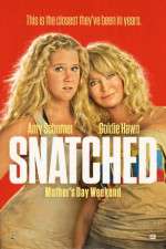 Watch Snatched Zmovie