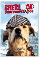 Watch Sherlock Undercover Dog Zmovie