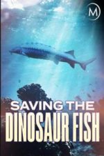 Watch Saving the Dinosaur Fish Zmovie