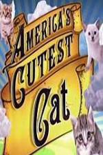 Watch America's Cutest Cat Zmovie