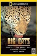 Watch National Geographic: Living With Big Cats Zmovie