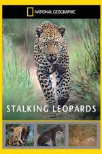 Watch National Geographic: Stalking Leopards Zmovie