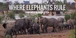 Watch Where Elephants Rule Zmovie