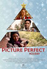 Watch A Picture Perfect Holiday Zmovie