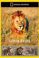 Watch National Geographic: Super Pride Africa\'s Largest Lion Pride Zmovie