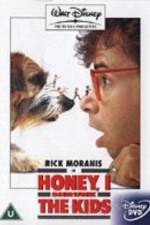 Watch Honey, I Shrunk the Kids Zmovie