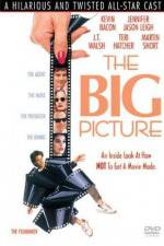 Watch The Big Picture Zmovie