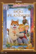 Watch The Dog of Flanders Zmovie