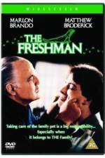 Watch The Freshman Zmovie