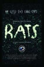 Watch Rats Zmovie