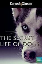 Watch Secret Life of Dogs Zmovie