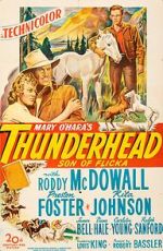 Watch Thunderhead: Son of Flicka Zmovie