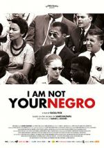 Watch I Am Not Your Negro Zmovie