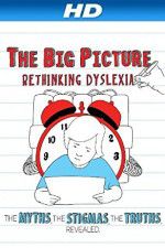 Watch The Big Picture Rethinking Dyslexia Zmovie