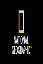 Watch National Geographic Wild Animal Attacks On Vacation Zmovie