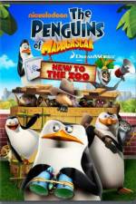 Watch Penguins of Madagascar New to the Zoo Zmovie