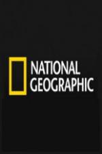 Watch National Geographic  - Templars Lost Treasure Zmovie