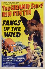 Watch Fangs of the Wild Zmovie