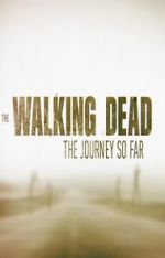 Watch The Walking Dead: The Journey So Far Zmovie
