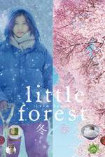 Watch Little Forest: Winter/Spring Zmovie