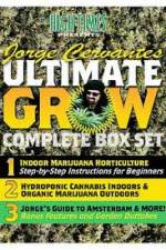 Watch Jorge Cervantes Ultimate Grow Complete Box Set Zmovie