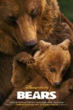 Watch Bears Zmovie