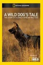 Watch A Wild Dogs Tale Zmovie