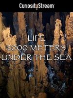 Watch Life 2,000 Meters Under the Sea Zmovie