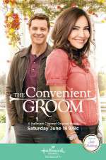 Watch The Convenient Groom Zmovie