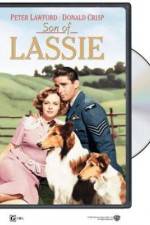 Watch Son of Lassie Zmovie