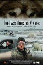 Watch The Last Dogs of Winter Zmovie