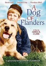 Watch A Dog of Flanders Zmovie