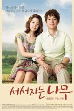 Watch Sleeping Tree Zmovie