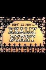 Watch Really Scent (Short 1959) Zmovie