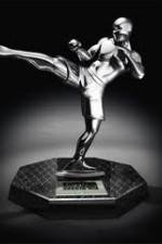 Watch World MMA Awards 2010 Zmovie