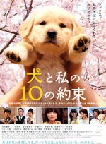 Watch 10 Promises to My Dog Zmovie