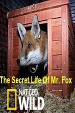 Watch The Secret Life of Mr. Fox Zmovie