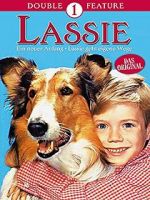 Watch Lassie: A New Beginning Zmovie