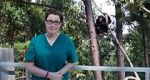 Watch Sue Perkins and the Chimp Sanctuary Zmovie