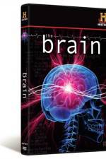 Watch The Brain Zmovie