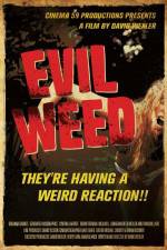 Watch Evil Weed Zmovie