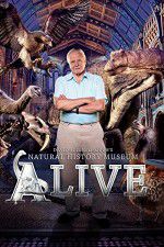 Watch David Attenborough\'s Natural History Museum Alive Zmovie