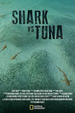 Watch Shark vs Tuna Zmovie