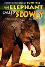 Watch An Elephant Called Slowly Zmovie