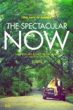 Watch The Spectacular Now Zmovie