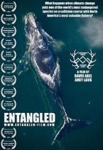 Watch Entangled: The Race to Save Right Whales from Extinction Zmovie