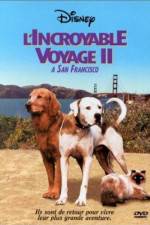 Watch Homeward Bound II Lost in San Francisco Zmovie