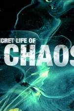 Watch The Secret Life of Chaos Zmovie