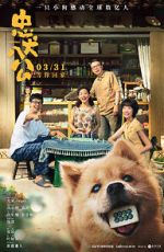 Watch Hachiko Zmovie